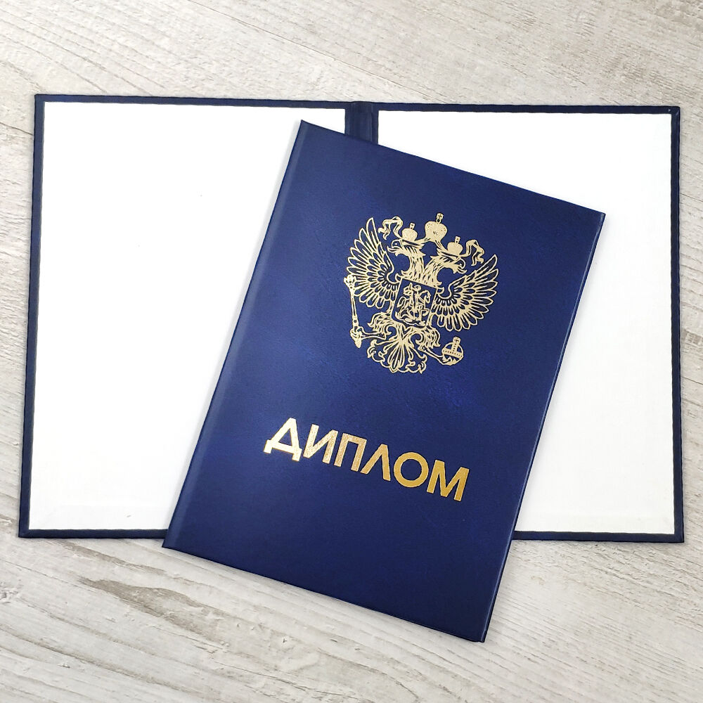 Купить диплом ИЭиФ Синергия Путь к Вашему Успеху