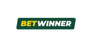 BetWinner Casino A Complete Guide to Gaming Excellence