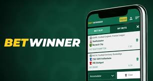 BetWinner in Ukraine Your Gateway to Exciting Betting Opportunities